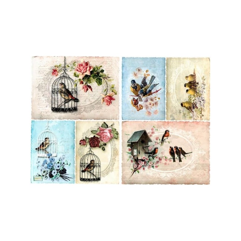 1papier découpage Oiseaux-D326