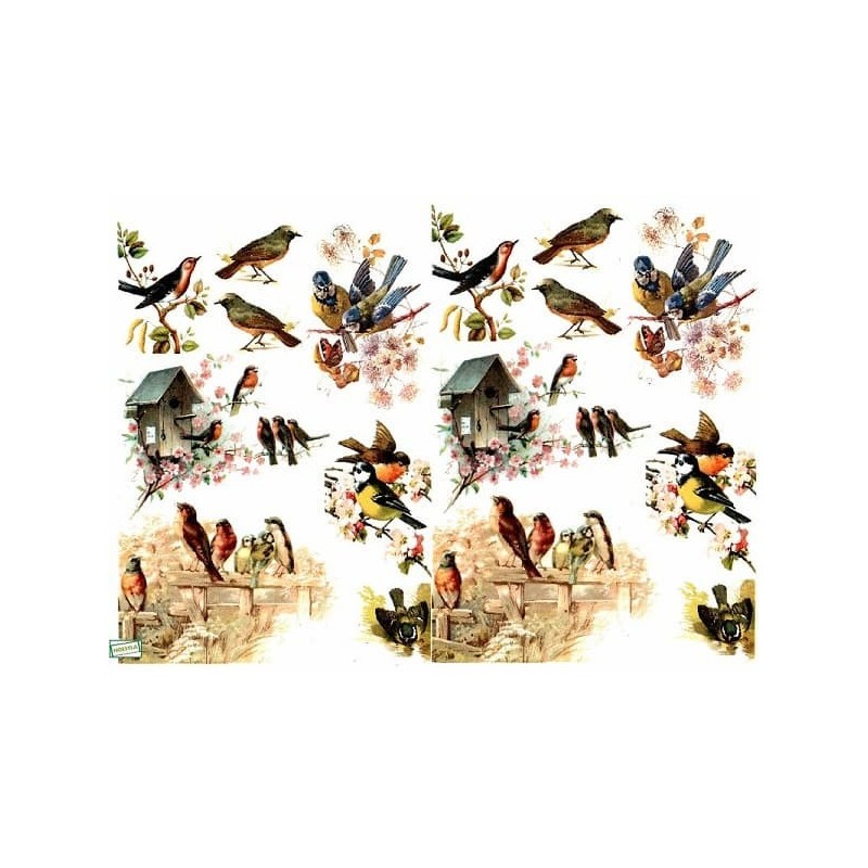 1papier découpage Oiseaux-D389