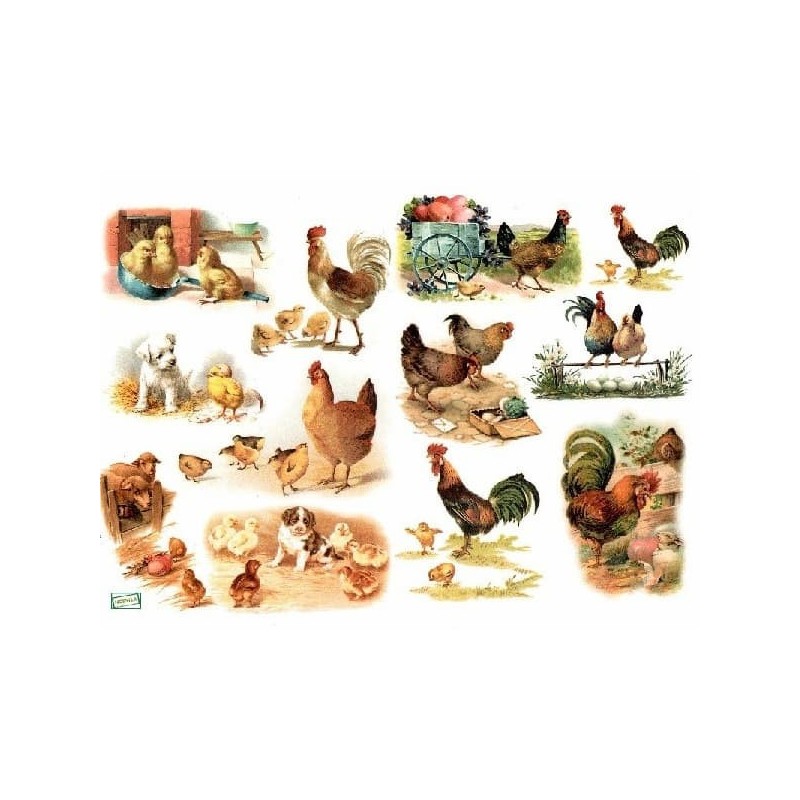 1papier découpage Poules-D465