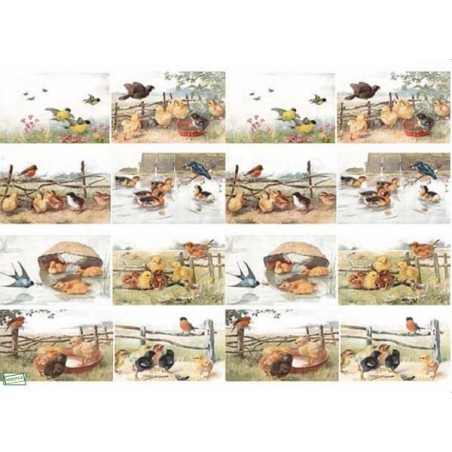 1papier découpage Poules-D569