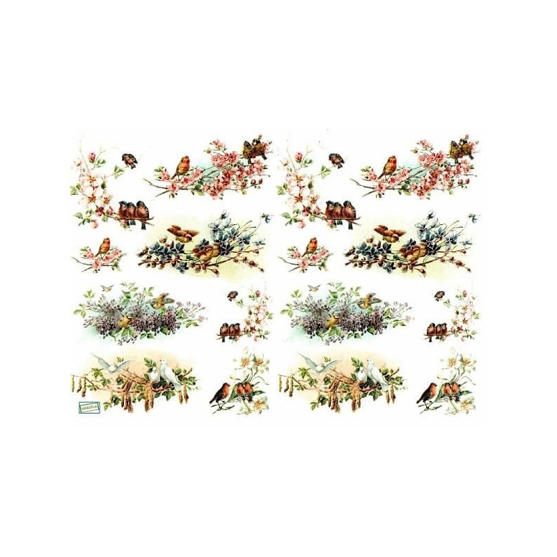 1papier découpage Oiseaux-D619