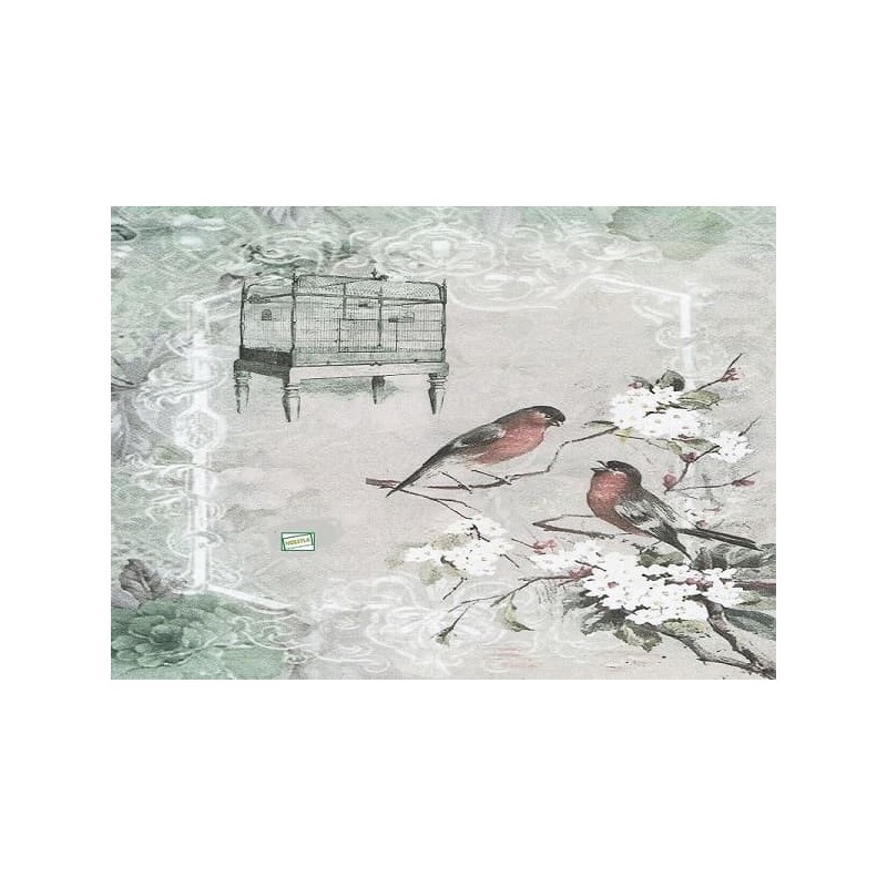 papier découpage Oiseaux-X13