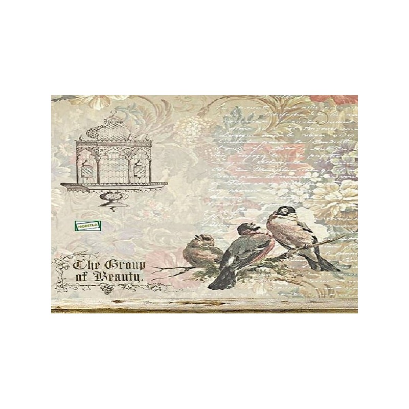papier découpage Oiseaux-X14