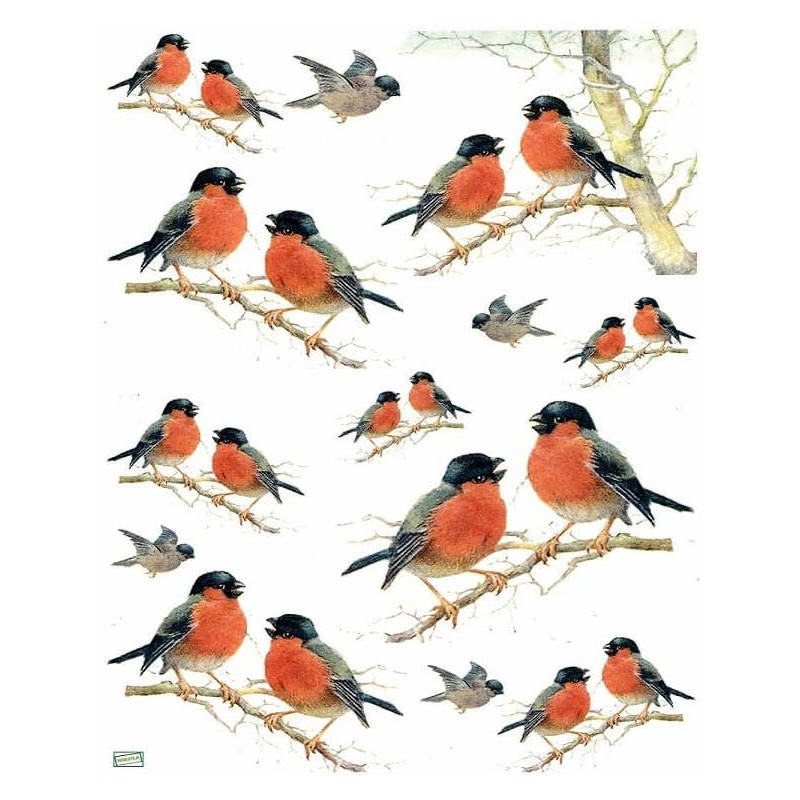 papier découpage Oiseaux-S177