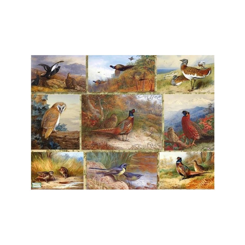 papier découpage Oiseaux-VPET1