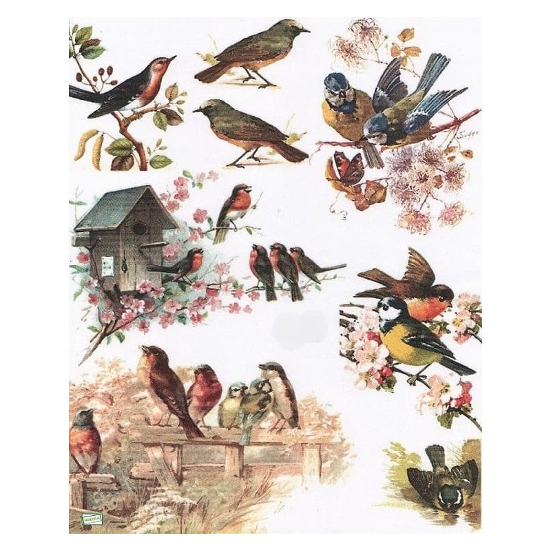 papier découpage Oiseaux-X11