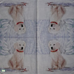1serviette papier Chien-4