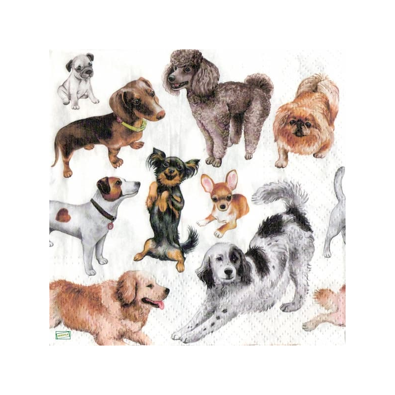 1serviette papier Chiens-6