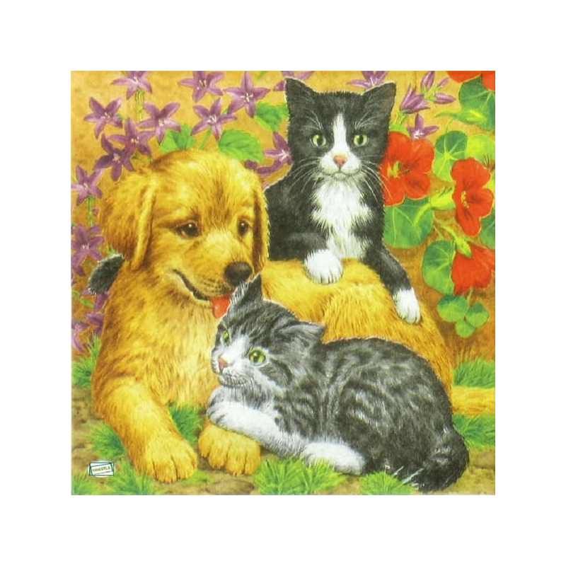 1serviette papier Chien-7