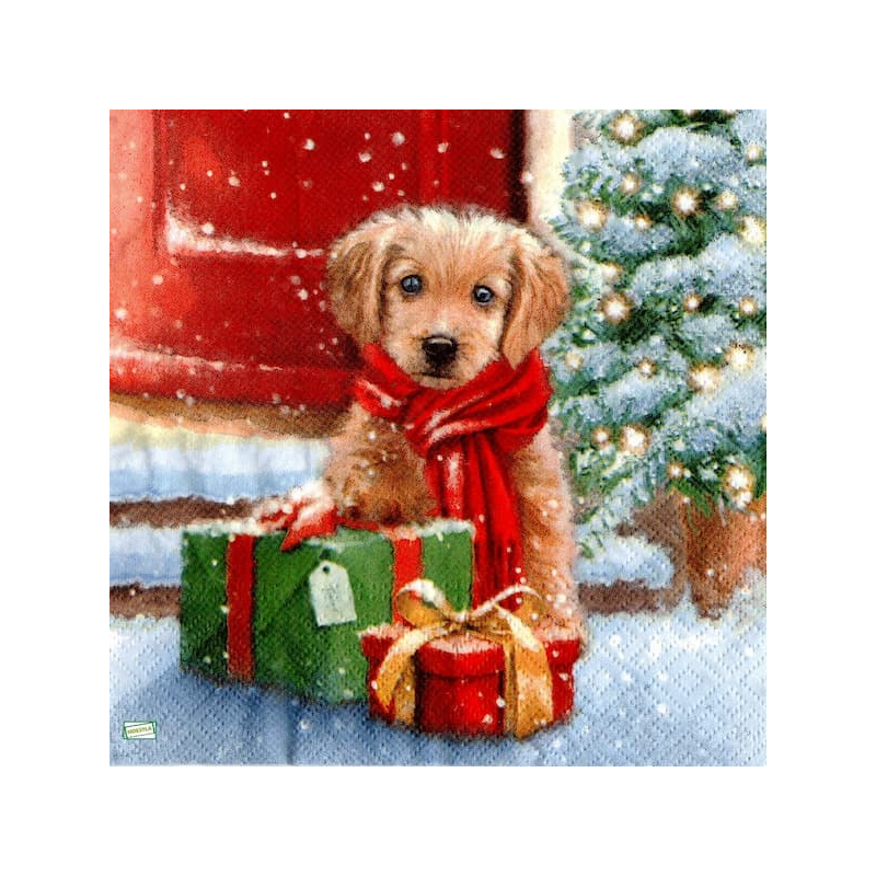 1serviette papier Chiot-10