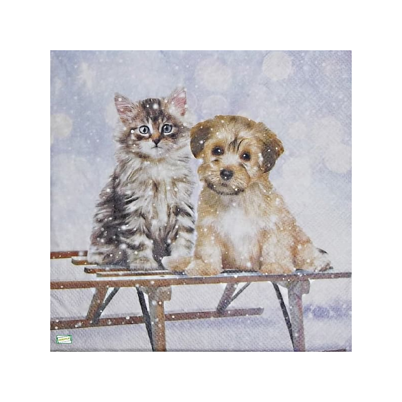 1 serviette Chien Chat -13