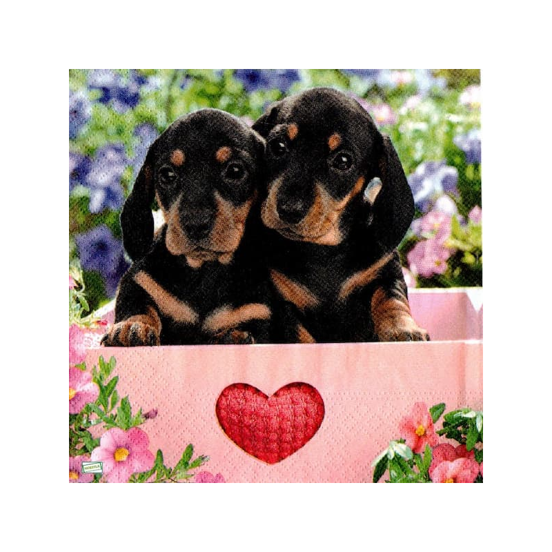1serviette papier Chien-14