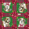 1serviette papier Chien-17