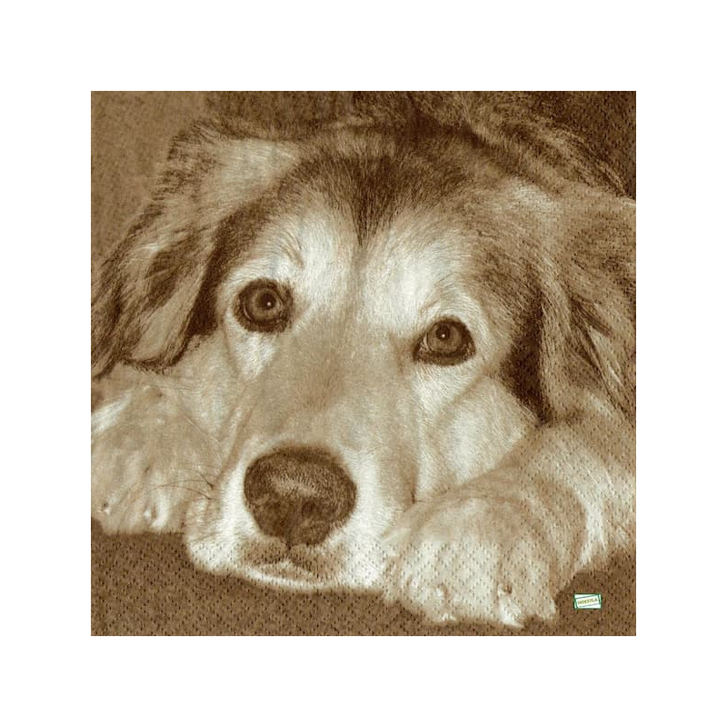 1serviette papier Chien-20