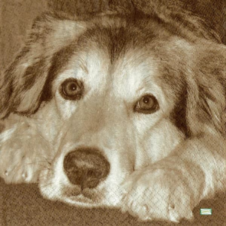 1serviette papier Chien-20
