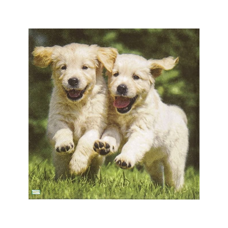 1serviette papier Chien-21