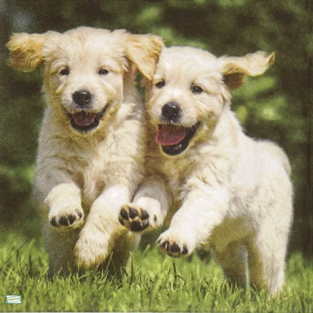 1serviette papier Chien-21