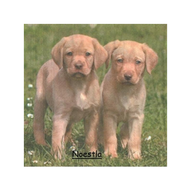 3serviettes papier Chien-24