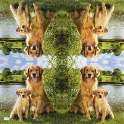 1serviette papier Chiens-25