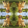 1serviette papier Chiens-25