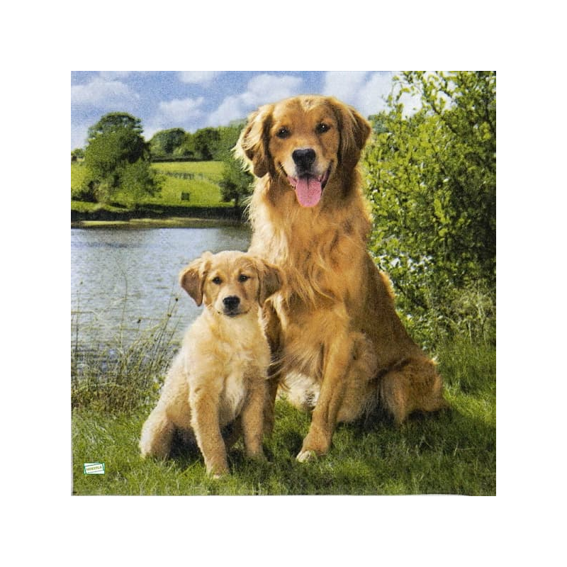1serviette papier Chiens-25
