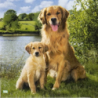 1serviette papier Chiens-25