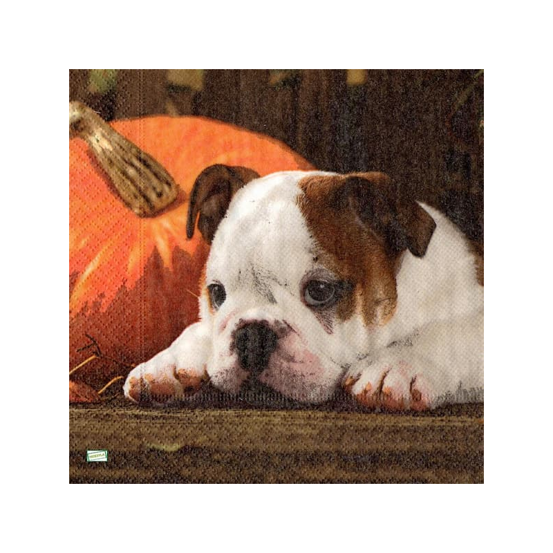 1serviette papier Chien-26