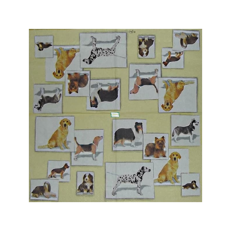 1serviette papier Chiens-27