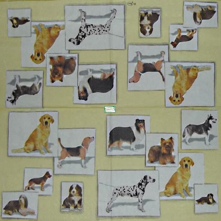 1serviette papier Chiens-27