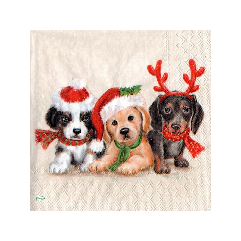 1serviette papier Chiots-29
