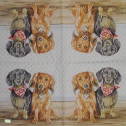 1serviette papier Chiens-30