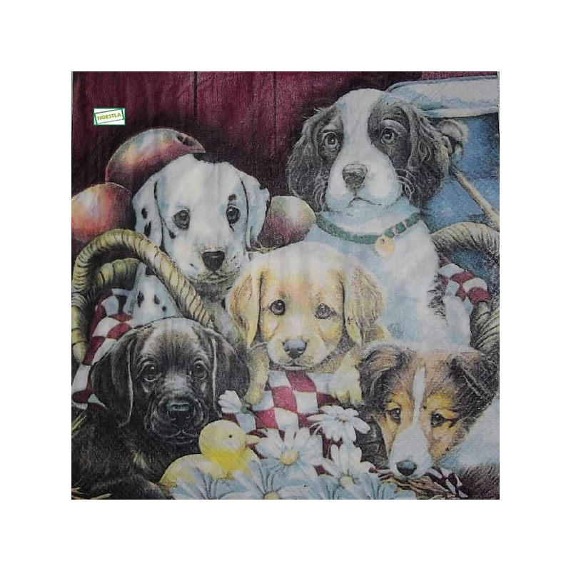 1serviette papier Chiens-34
