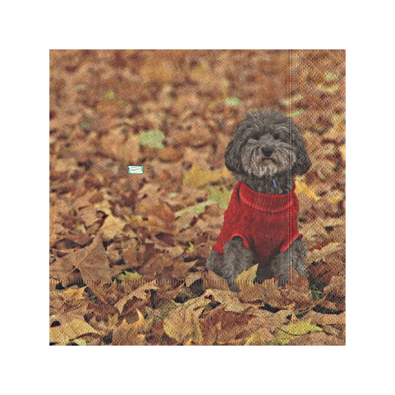 1serviette papier Chien-35
