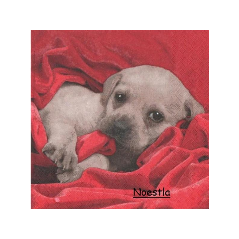 1serviette papier Chiot-39