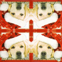 1serviette papier Chien-41