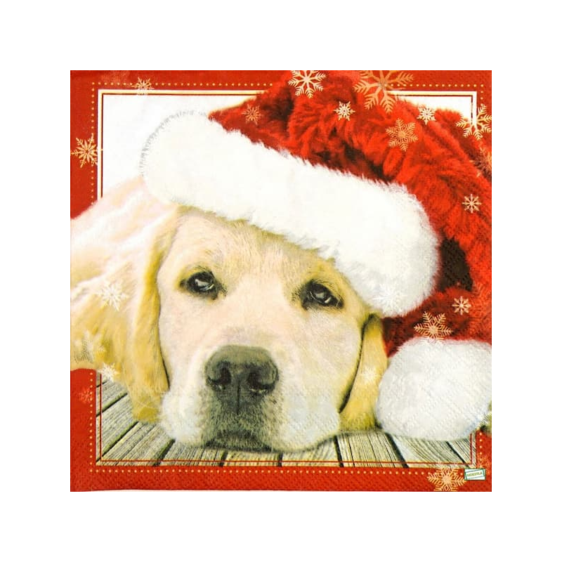 1serviette papier Chien-41