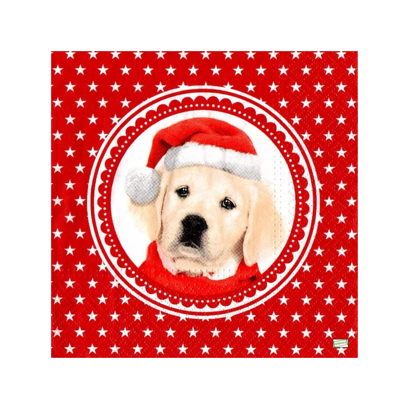 1serviette papier Chien-42