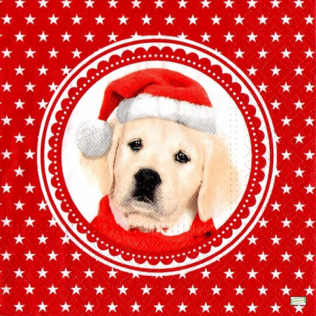 1serviette papier Chien-42