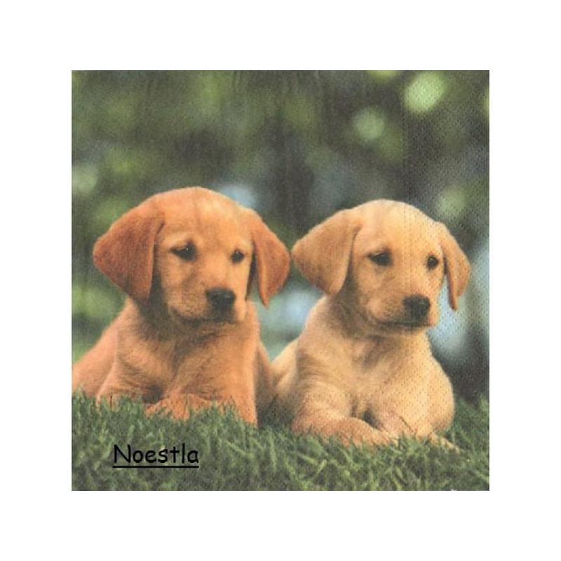 1serviette papier Chiots-43
