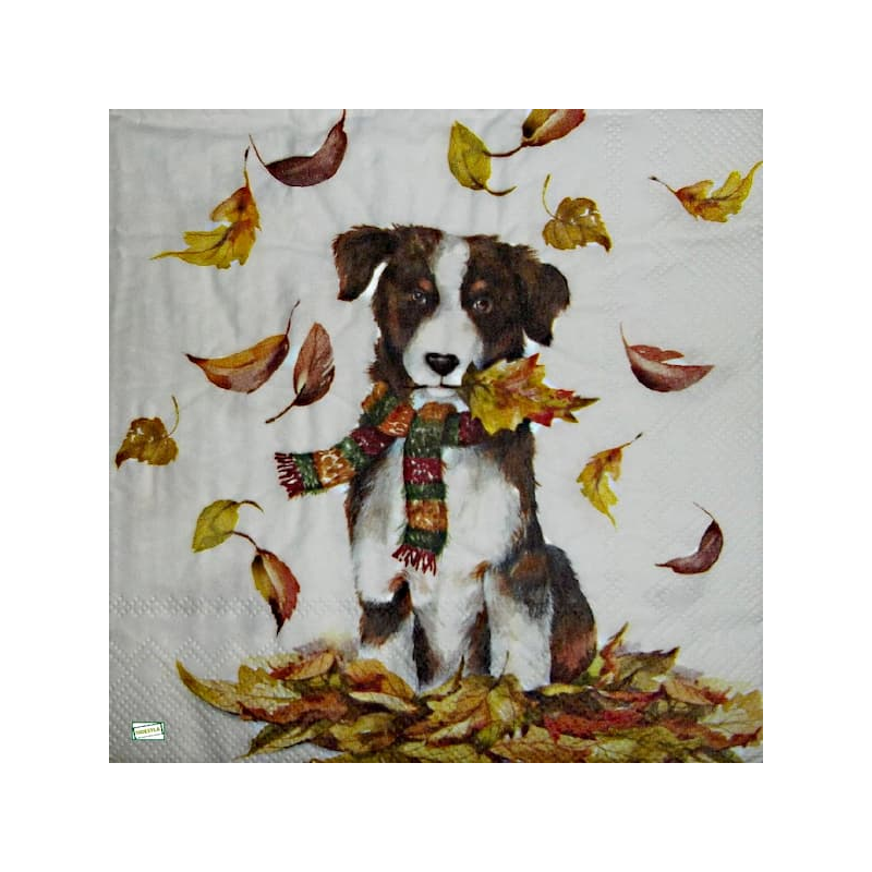 1serviette papier Chien-47