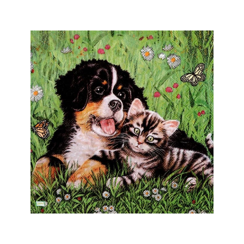 1serviette papier Chien-48