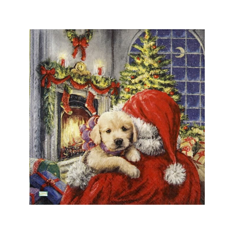 1serviette papier Chiot-51