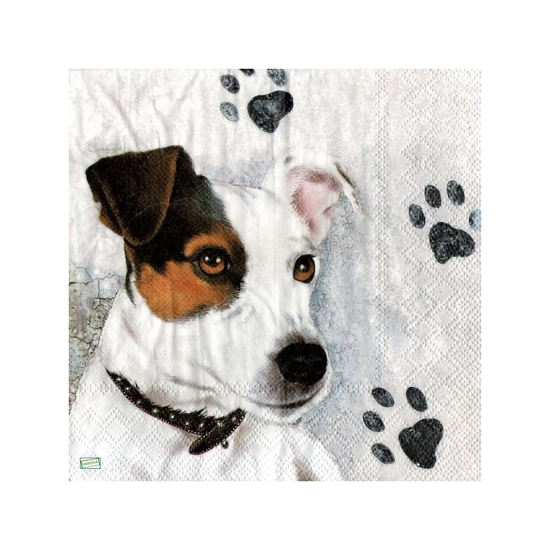 1serviette papier Chien-52