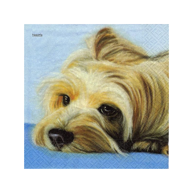 1serviette papier Chien-54
