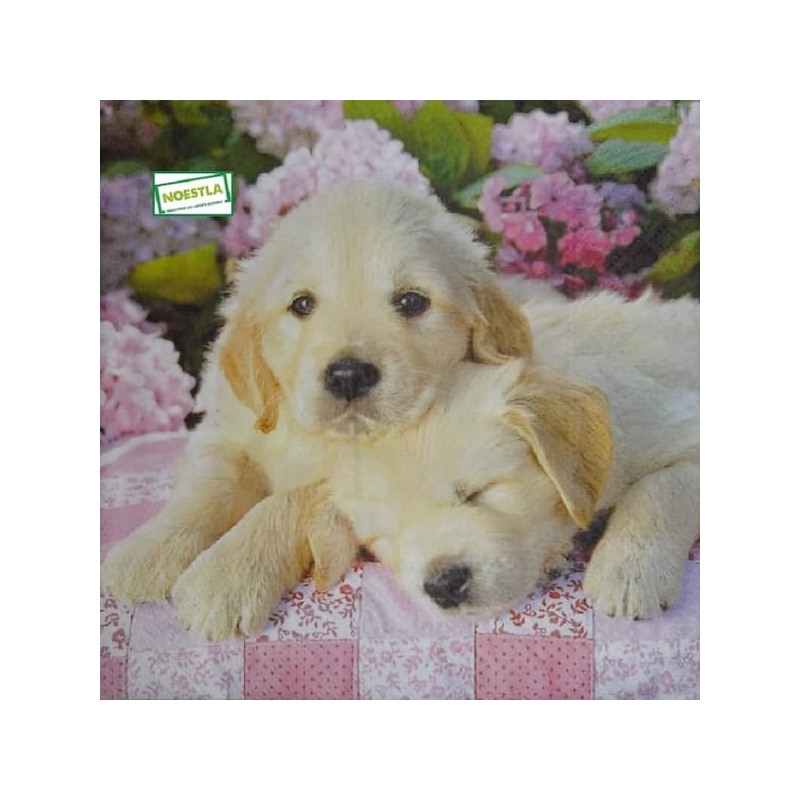 1serviette papier Chiots-59