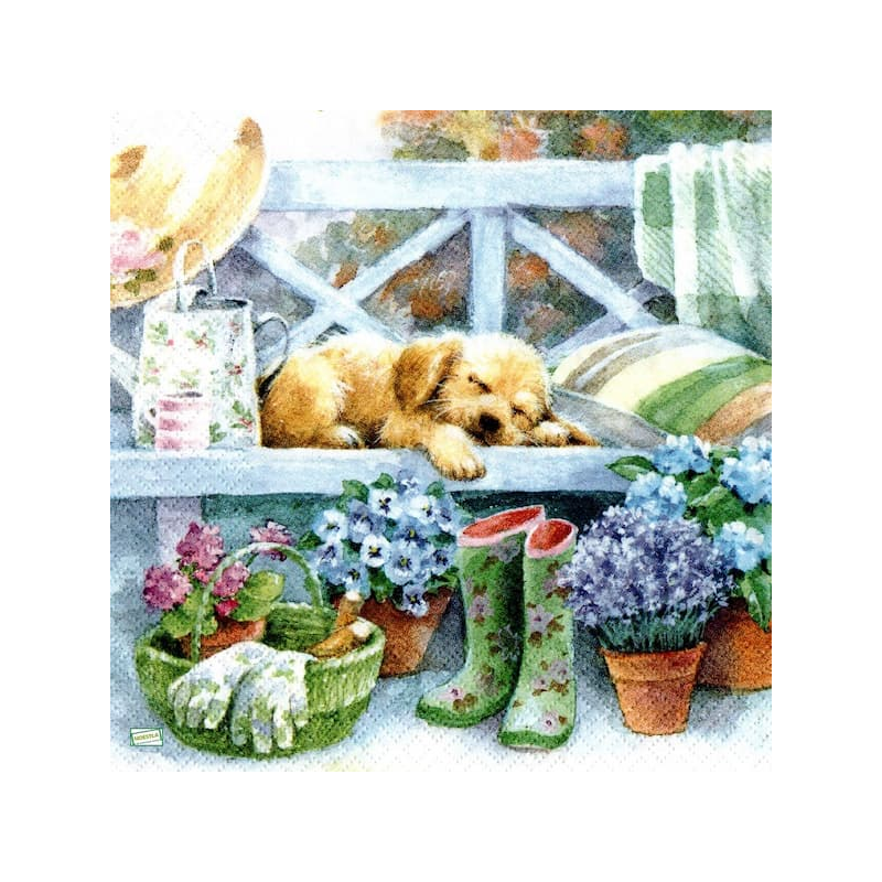 1serviette papier Chiot-63