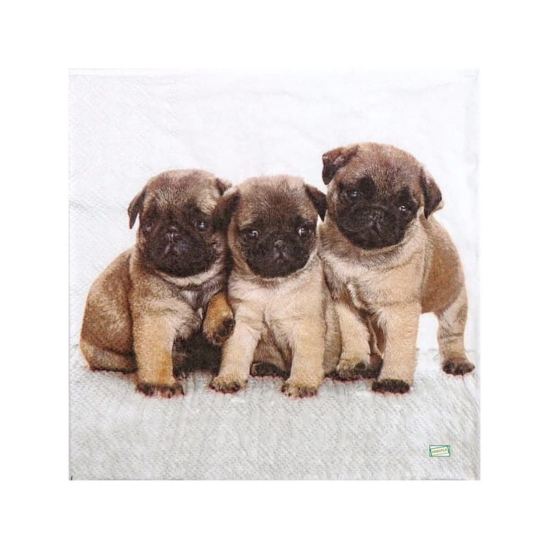 1serviette papier Chiots-67