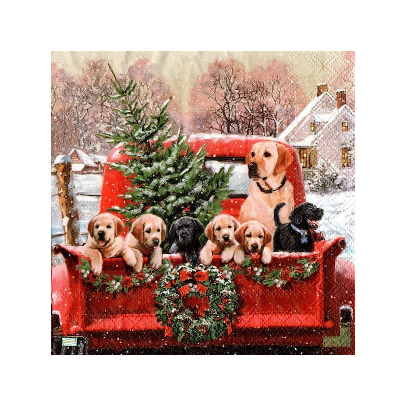 1serviette papier Chiens-69