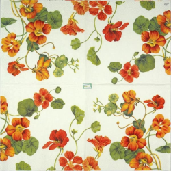 1 serviette Les capucines -2