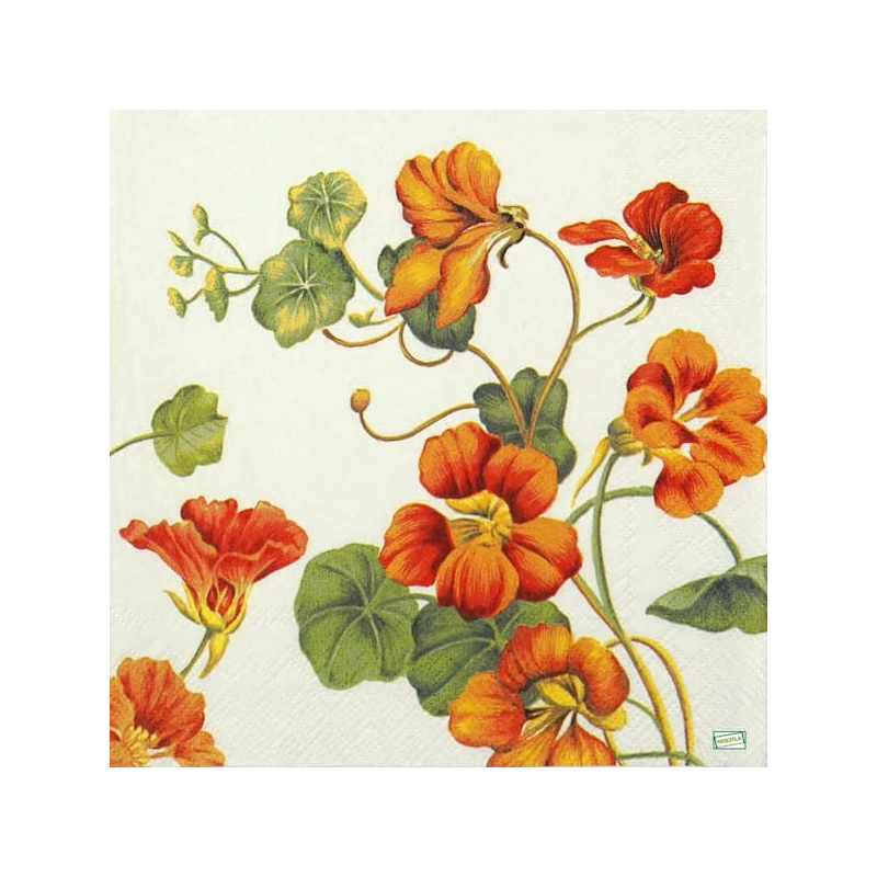 1 serviette Les capucines -2